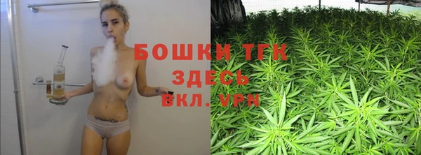 шишки Алексин